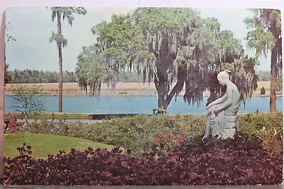 South Carolina SC Charleston Middleton Place Gardens Postcard Old Vintage Card • $0.50