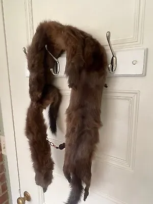 Fly Tying ~ Vintage Murphy's Chocolate Brown Mink Stole ~ 4 Full Body Minks • $14.99