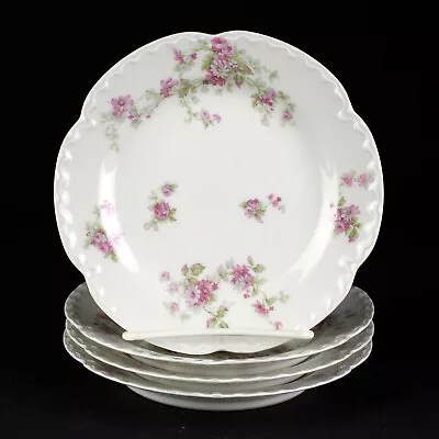 Haviland Limoges Schleiger 244D Roses & Daisies Bread Plate Set Antique 6 1/4  • $40