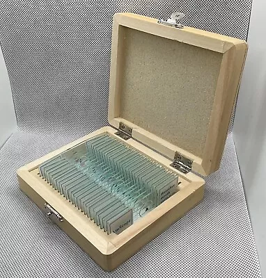 AmScope 24 Prepared Specimen Microscope Slides Glass With Wooden Box Educational • $12.58