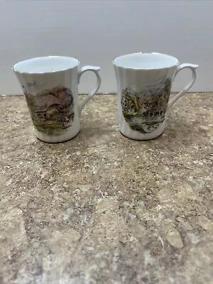 2 Vintage Royal Stuart Tea Cup Cottage Scene & Gardens Bridge Bone China England • $20.08