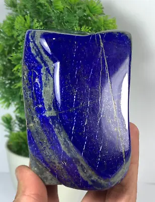 864Gram Lapis Lazuli Freeform Grade AAA+ Tumbled Rough Polished From Afghanistan • $109.99