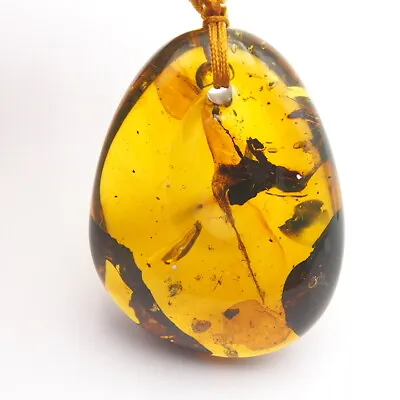 Mexican Amber Pendant With Plant Inclusions 24.3 G • $194