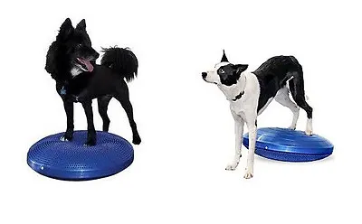 Core Stability Balance Fitness GIANT Strengthen Disc For Dogs Arthritis 24  8003 • $74.99