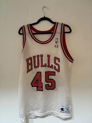 Michael Jordan 45 Champion Authentic Jersey Chicago Bulls • $21.14