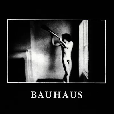 Bauhaus    In The Flat Field   Cd Album Brand New & Sealed • $7.15