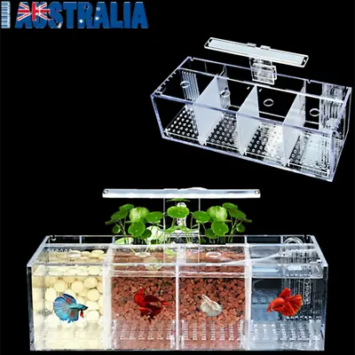 3/4Grid Acrylic Tank For Fighter Betta Fighting Fish LED Light W/ USB Water Pump • $66.66