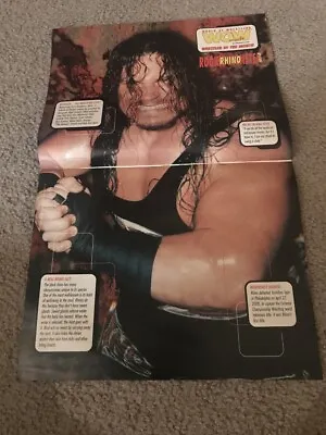 Vintage RHINO ECW Wrestling Poster Centerfold 2000 WCW WWF WWE • $6.99