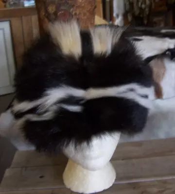 Hand Made Skunk Fur Hat Rendezvous Black Powder Mountain Man 13 • $125