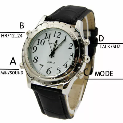 QUALITY FRENCH Talking Watch 10 FREE Extra BATTERIES SHIPS Very FAST From U.S  • $19.99