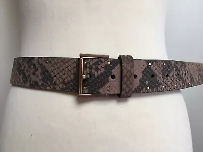 NEW All Saints Brown Snake Print Leather Studded Belt L • £55