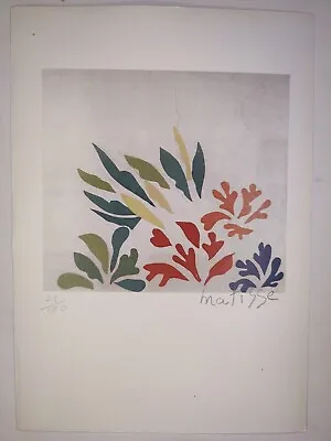 COA Henri Matisse Painting Print Poster Wall Art Signed & Numbered • $74.95