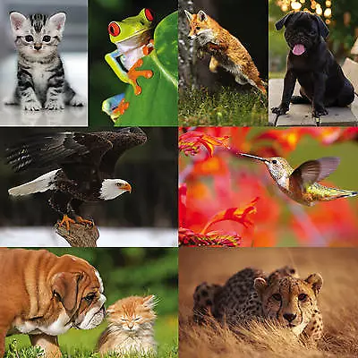 £2.99 • Buy Wildlife Animals Pets Posters Upto A1 Size,  Frames Available
