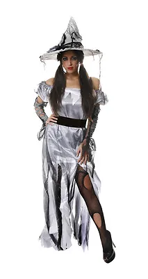 Zombie Princess / Silver Witch Womens Halloween Fancy Dress Costume Size 10-14 • £8.95