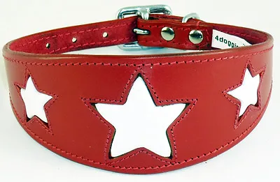 Leather Saluki Dog Afghan Dog Collar Red With White Star Collier Levrier Galgo • £18.85