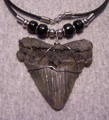 Megalodon Shark Tooth Necklace 2 1/8  Sharks Teeth Large Fossil Diver Gem Color • $30