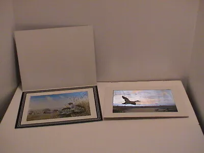 Lot /2 Mallard Ducks & Quail 3d Look Framed 8 X 10 Pictures Prints W/ Folder  • $26.79
