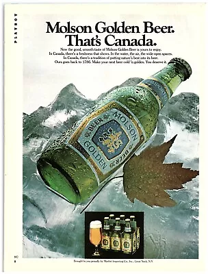 1978 Molson Golden Beer Print Ad That's Canada Maple Leaf Ice Cold Bottle 6pack • $11.50