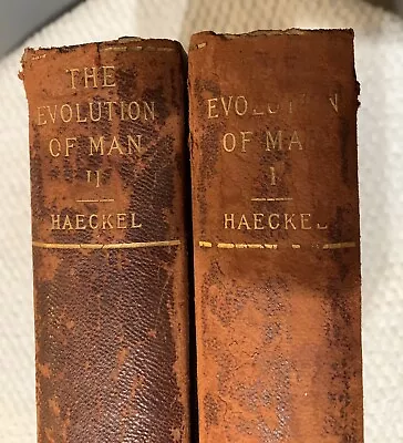 Ernst Haeckel  The Evolution Of Man  1898 Vol 1 & Vol 2  EXTREMELY RARE SET • $459