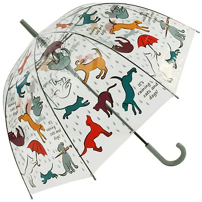 Fallen Fruits See-Through Umbrella - It's Raining Cats & Dogs • £12.95