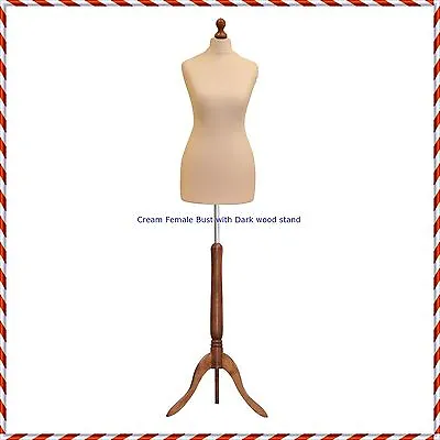 Female Size 12/14  Tailors Bust Mannequin Cream Dummy  Fashion  Retail Display • £9.95