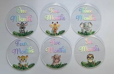 Baby Milestone Discs/ Acrylic Milestone Discs/ Jungle Animal Milestone Discs • £22