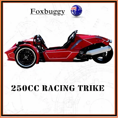 250cc ROADSTER TRIKE SPORT RACING QUAD BIKE ATV 3 WHEELER SLIDER • $4900