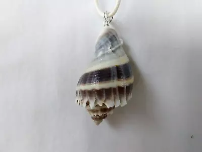 Kings Crown  Sea Shell Beach Mermaid Boho  Necklace 19  USA  Seller Gift New • $9.95