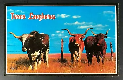 Texas Longhorn Bull Postcard Vintage Range Ranch Barbed Wire Printed IRELAND  • £10.61