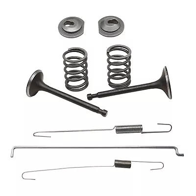 Valve Springs For Honda GX160 GX200 Generator Kit Lawnmower Parts Pump • £10.06