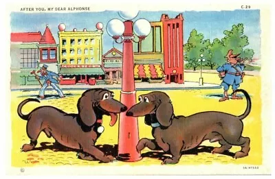 Dachshund Dogs Vintage Comic Color Postcard Unposted Lamppost Cop Chicago • $7.95