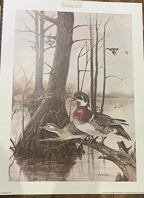 Vintage R J Mcdonald Ducks  Mallard Lake Signed RJ McDonald 1978 • $49.99