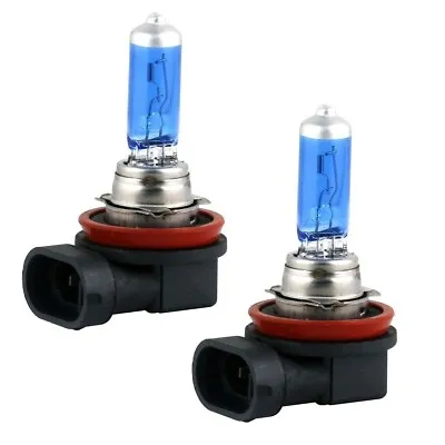 2x H11 Halogen 55W 12V Low-Beam Headlight/Fog/Driving Light Bulbs Glass White • $10.38