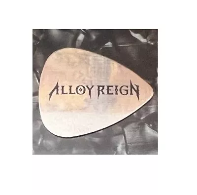 ALLOY REIGN Stainless Steel Guitar Pick • $3.50