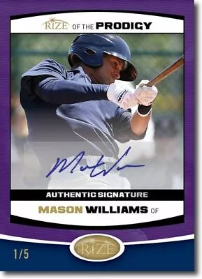 MASON WILLIAMS 2012 Rize Rookie Autograph PURPLE Auto PRODIGY RC #/5 • $41.99