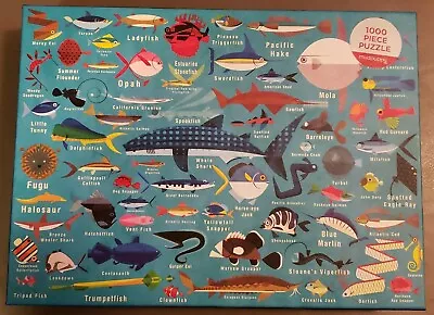 NEW Galison Mudpuppy Paul Daviz OCEAN LIFE 1000 Thick Piece Puzzle Fish Poster • $8.50