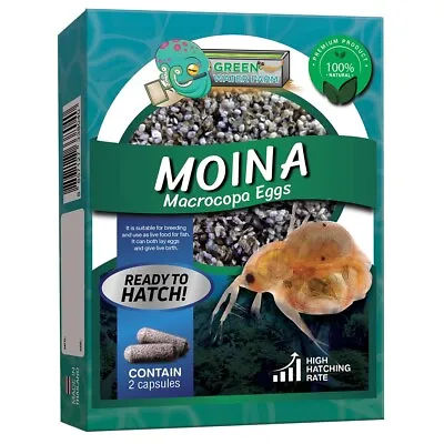 Moina Macrocopa Eggs (Water Flea) Live Fish Food For Hatching And Culture • $10.99