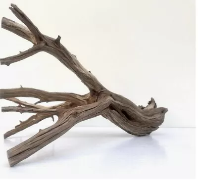 MANZANITA DRIFTWOOD Aquarium Décor Habitat Twisted Red #290 • $8