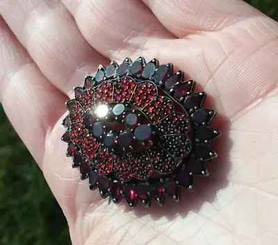 Antique Brooch Natural Czech Garnet Pyrope Gilding. Women's Jewelry • $275