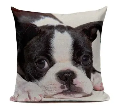 $19.16 • Buy Boston Terrier Puppy Dog B14 Cushion Pillow Cover Cartoon Pet French Bulldog