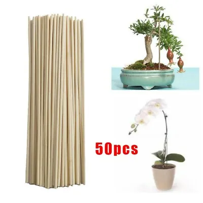 £4.94 • Buy Pack Of 50 Small Willow Pea & Bean Garden Plant Support Canes Sticks 20cm