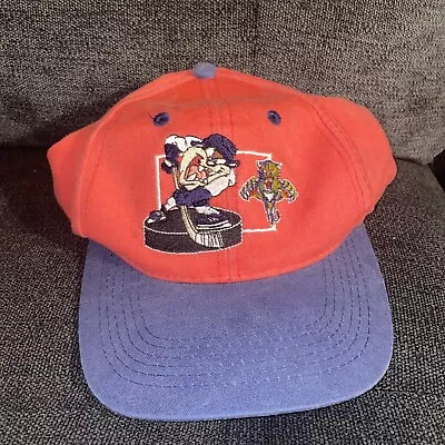 VINTAGE Taz Snapback Hat Logo 90's NHL Looney Tunes Panthers VERY RARE! Kids • $30