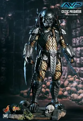 Hot Toys 1/6 Avp Alien Vs Predator Mms221 Celtic Predator Action Figure • $1209.99