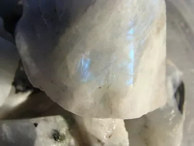 Natural Rainbow Moonstone Rough - 1000 CARAT Lot- Rough Rocks- Nice Color • $13.48