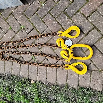 Lifting Chains 2 Leg 10mm 4.35t 2m Long With Shortners  • £80