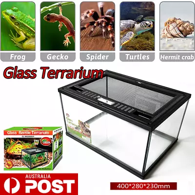 Glass Reptile Terrarium Cage Enclosure Lizard Snake Frog Spider Scorpion Insects • $89.99