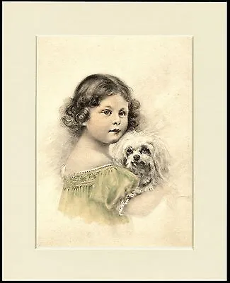 Maltese Dog And Little Girl Charming Print Mounted Ready To Frame • $8.70