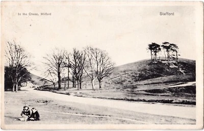 £3.49 • Buy Staffordshire Postcard IN THE CHASE, MILFORD, STAFFORD 1911 By Stewart & Woolf