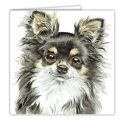 Long Hair Tri Chihuahua Greetings Card Dog Blank Card Toy Dogs Chihuahuas Cards • £2.99