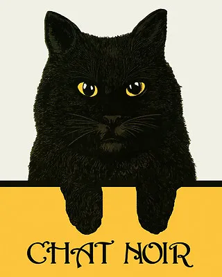 Black Cat Chat Noir  French 16X20 Vintage Poster FREE S/H In USA • $22.15